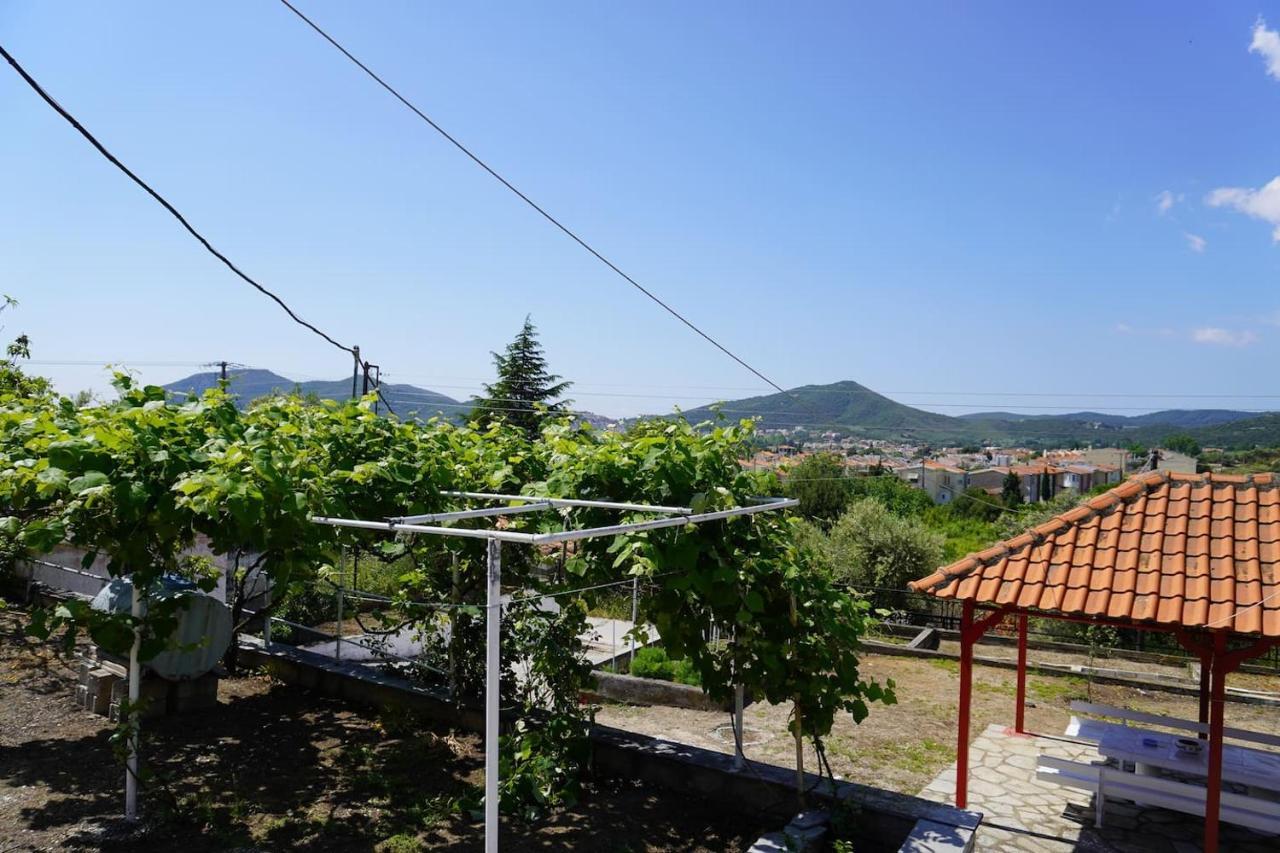 Paradise Residency Nea Iraklitsa Kültér fotó